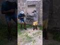 faida ya mabati 🤣🤣a bandit in his work with CATASTROPHE #vituko #funnyvichekesho #vivaafrica