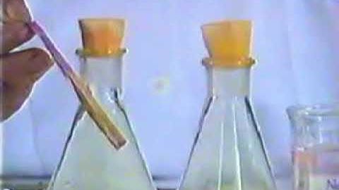 Clo tác dụng với nước