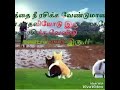 Best friends in sankar creation