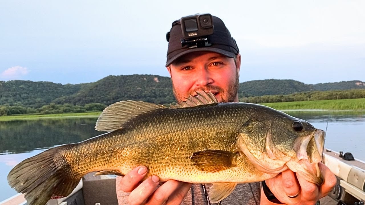 8 Different Species~Fishing the Mississippi River {Catch N Cook} Air Fryer  Fish CAKES 