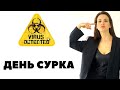 Германия. Влог.  Жизнь на карантине как день сурка