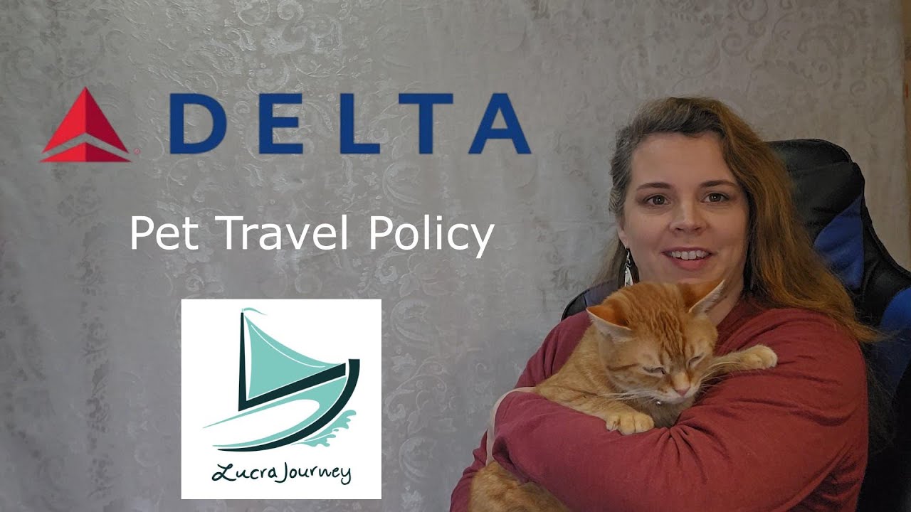 delta-airlines-pet-travel-guide-carry-on-service-animal-rules