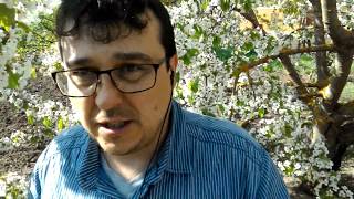 О настоящих отступниках О настоящих отступниках