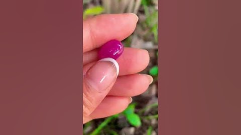 ruby Yên Bái hồng phán 7 7ct giá vài triệu #gem #gemstone #ruby