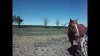 DSCF0292.avi