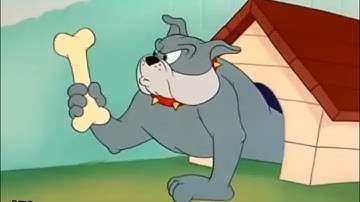 Tom And Jerry Hài Tục Tiểu - Lồng Tiếng Kiệt Park