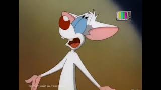 Pinkis Ir Makaulé - Brodvėjaus Susirgimų Lithuanian, Tv1 Airing