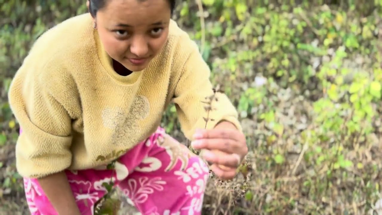 bangsilam khojda jhandai lafada vyao buda budi ko