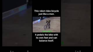 Cyclebot ....