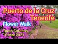Flower Walk in Puerto de la Cruz, Tenerife/Teneriffa, Canary Islands/Canarias 10 Mar 2021