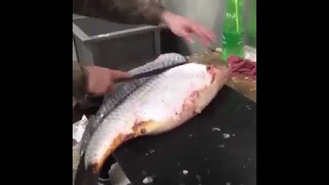 вот так снимать шкуру #рыбалканаозере