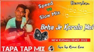 Beha Je Korolo Moi ।। Full Tapa Tap Style Mix ।। Fully Dance Mix ।। Ranjit Mahto Kurmali Jhumar