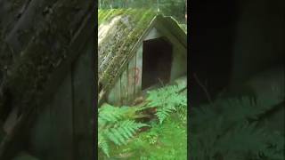 Download Lagu БОЧКА В ЛЕСУ!? #shortsvideo #short #shorts MP3