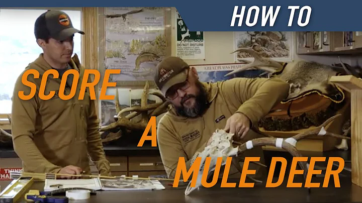 HUNTERS CONNECT X BOONE & CROCKETT | How to Score a Mule Deer