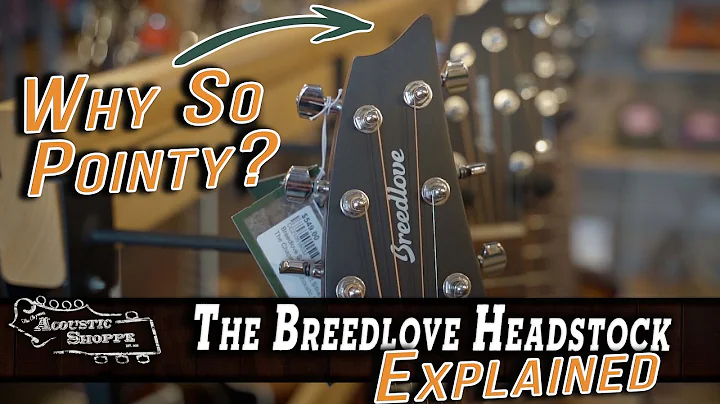Breedlove Guitars Headstock Design Explained