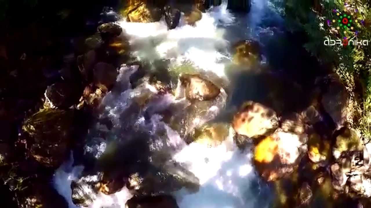 CHAPARE: La Selva Amazónica Vista desde un Dron