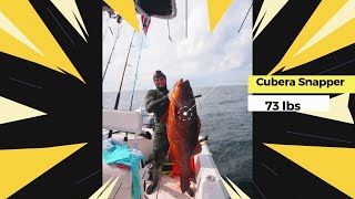 Easily could have drowned me!! Giant snapper.