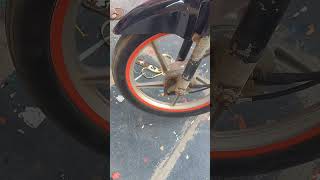 కస్టమర్ 40km వచ్చినాడు స్టిక్కర్ కోసం Telugu stickering radium works