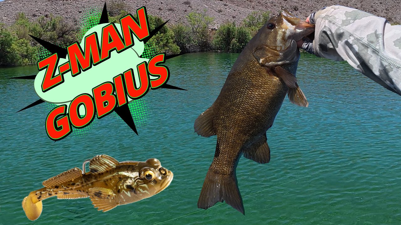 Revenge At Lake Mohave CottonWood Cove (BASS FISHING)