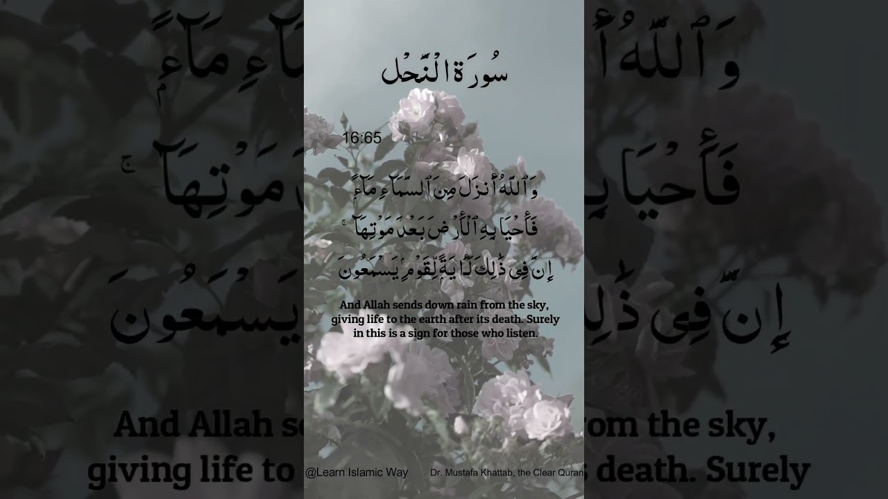 Surah Al-Nahl Ayat No 16 : 65 66 Arabic | سورۃ النحل With English Translation  #quran #allah #yts