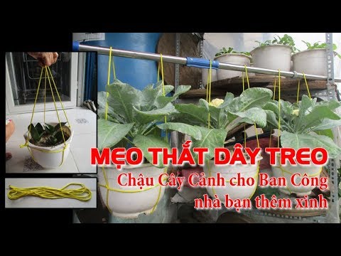 Video: Làm Thế Nào để Treo Một Tán Cây Trên Cũi