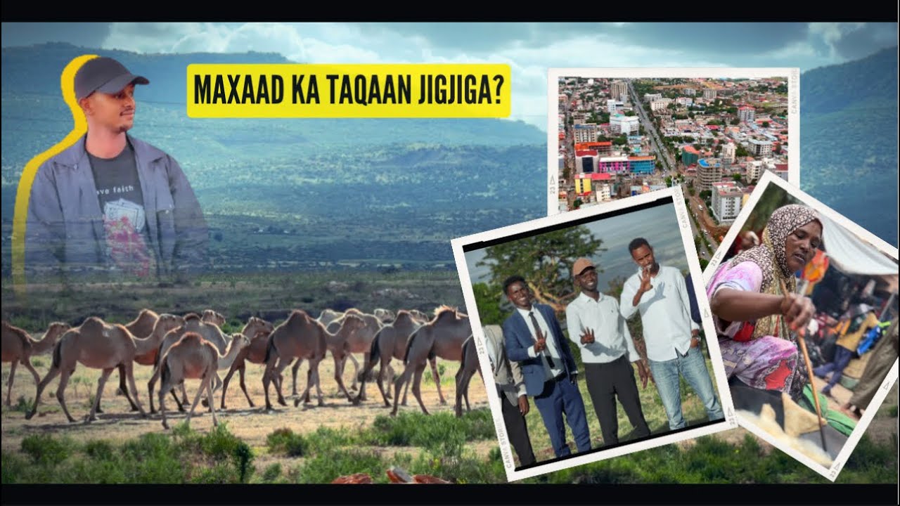 Magaaladii dhaqanka, dalxiiska iyo horumarka Jigjiga Somali Galbeed | Jigjiga Capital City of DDS.
