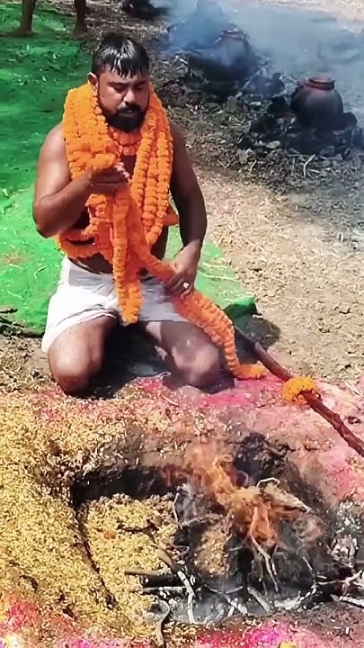 www in bhojpuri holi mp3