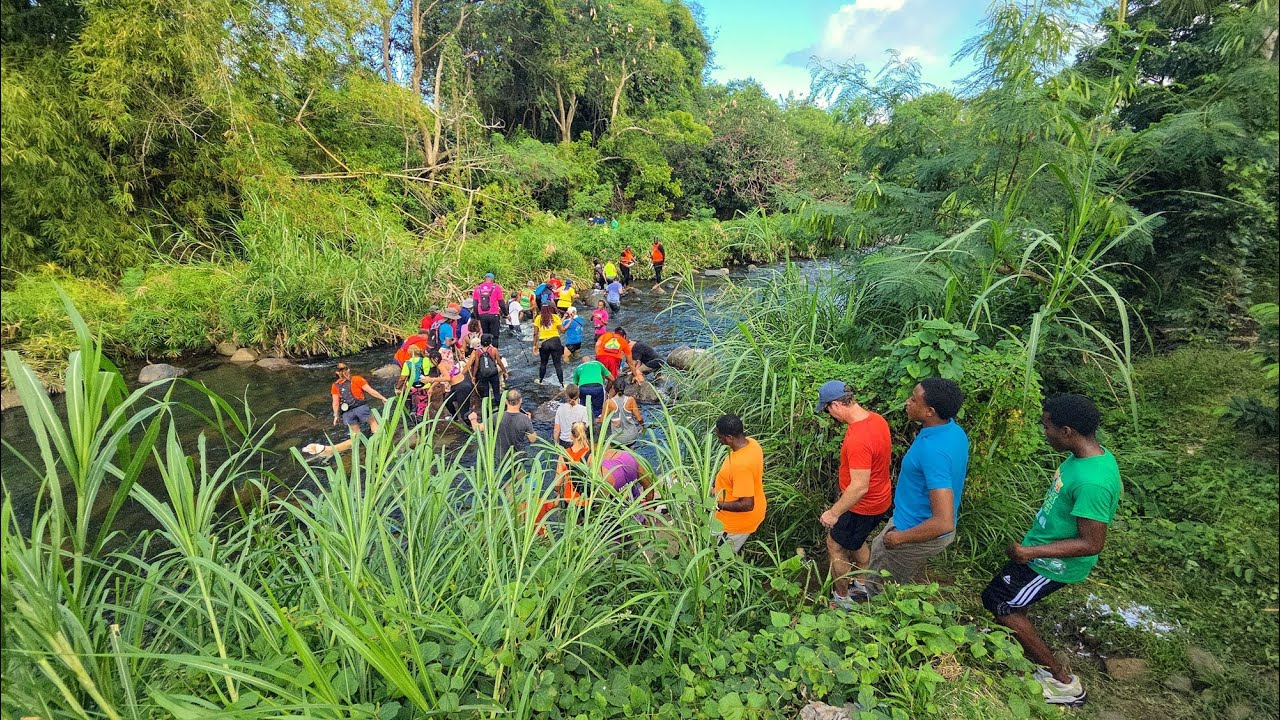 Хэш № 1383 в парке Прогресс (Сент-Эндрю, Гренада)