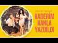 Kaderim Kanla Yazıldı Türk Filmi FULL Kartal Tibet Meral Zeren Kaderim Kanla Yazıldı Türk Filmi FULL Kartal Tibet Meral Zeren