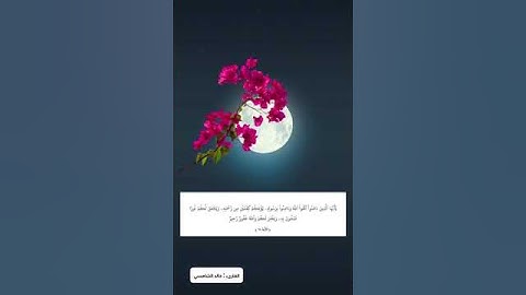 القارئ خالد الشامسي سورة الحديد | ﴿ يَا أَيُّهَا الَّذِينَ آمَنُوا اتَّقُوا اللَّهَ | قرآن كريم