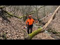 Cutting dry branches in the forest with Stihl HT 103 pole saw. ( Emondor telescopic Stihl.)