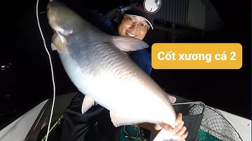 Câu cá dồ đém #40. Nay lụm hàng hiếm khủng