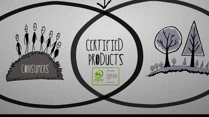 How can we best protect our forests? PEFC certification!