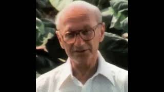 Milton Friedman x Lana Del Rey