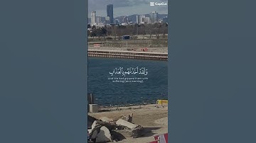 "اللهم اجعل القران الكريم شفيعاً لنا يوم القيامة و مؤنساً لنا في وحشة القبر 🤲