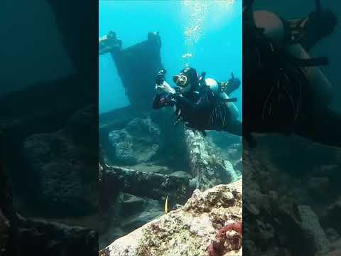 Buceo en la