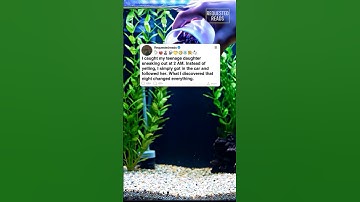 what I found changed everything.