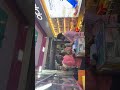 Live highlight#achhe mobile and laptop solution #sahson#prayagraj #oppo f31#IP69