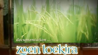 healing documentation music nature by zoen loekira 12 views 1 year ago 1 minute, 16 seconds