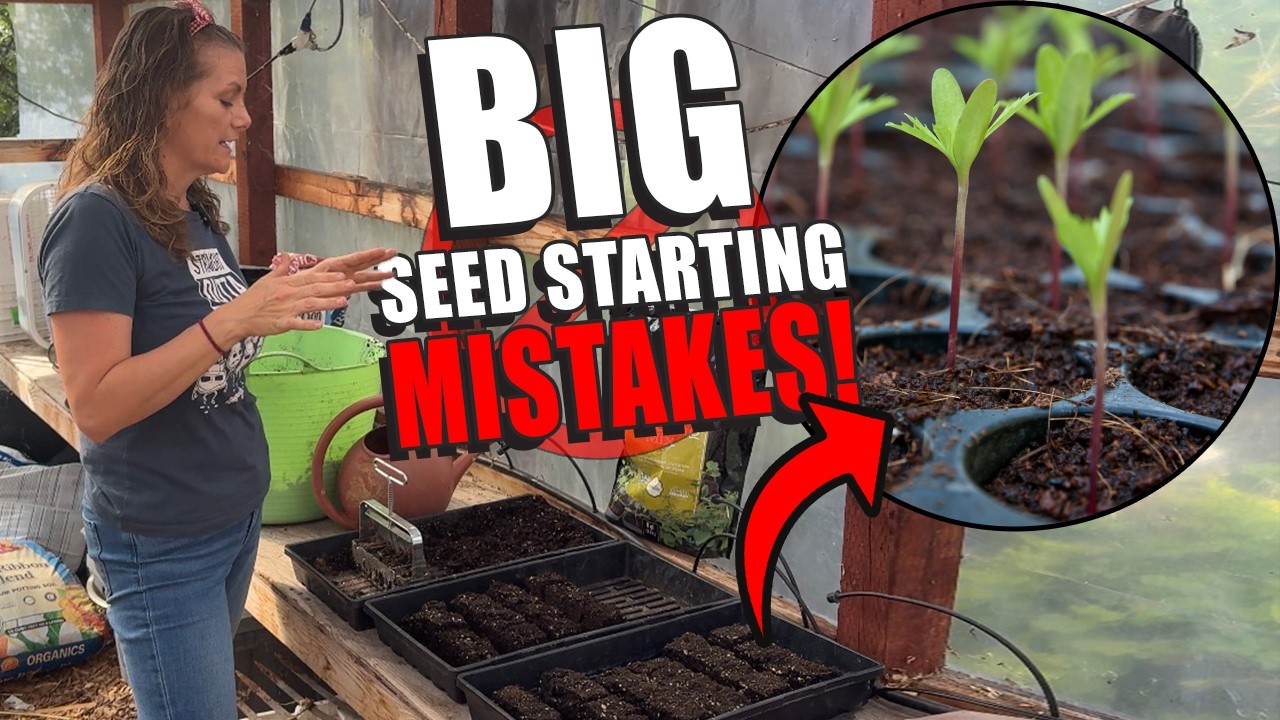 Seed Starting Mastery for Zone 9/10 – The Mistakes You Are Making!