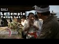 Bali  le temple de tanah lot plateau intgral  fautpasrever