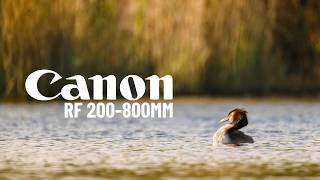 Using the RF 200-800mm for the Very First Time... I love it! | Canon R6 Mark III