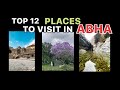 TOP 12 PLACES TO VISIT IN ABHA (Locations are in the description box)