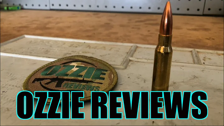 Beginner Basics #23 The 308 Winchester Caliber (pros/cons)