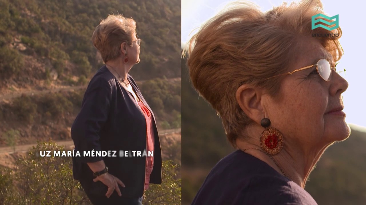 La estrategia de los Andes. Dos pueblos unidos por la libertad - Canal Encuentro