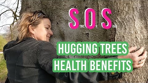 Mind-blowing Health Benefits of Hugging Trees!