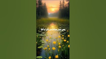 تلاوه الشيخ ياسر الدوسري من سورة غافر #ياسر_الدوسري #سورة_غافر #قران_كريم #إمام_الحرم_المكي #اكتب