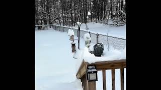 Over a foot of snow Canton NY
