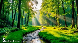 Beautiful Relaxing Music - Music is soothing, Relaxing Music with Birds Singing