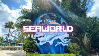 A day in Seaworld